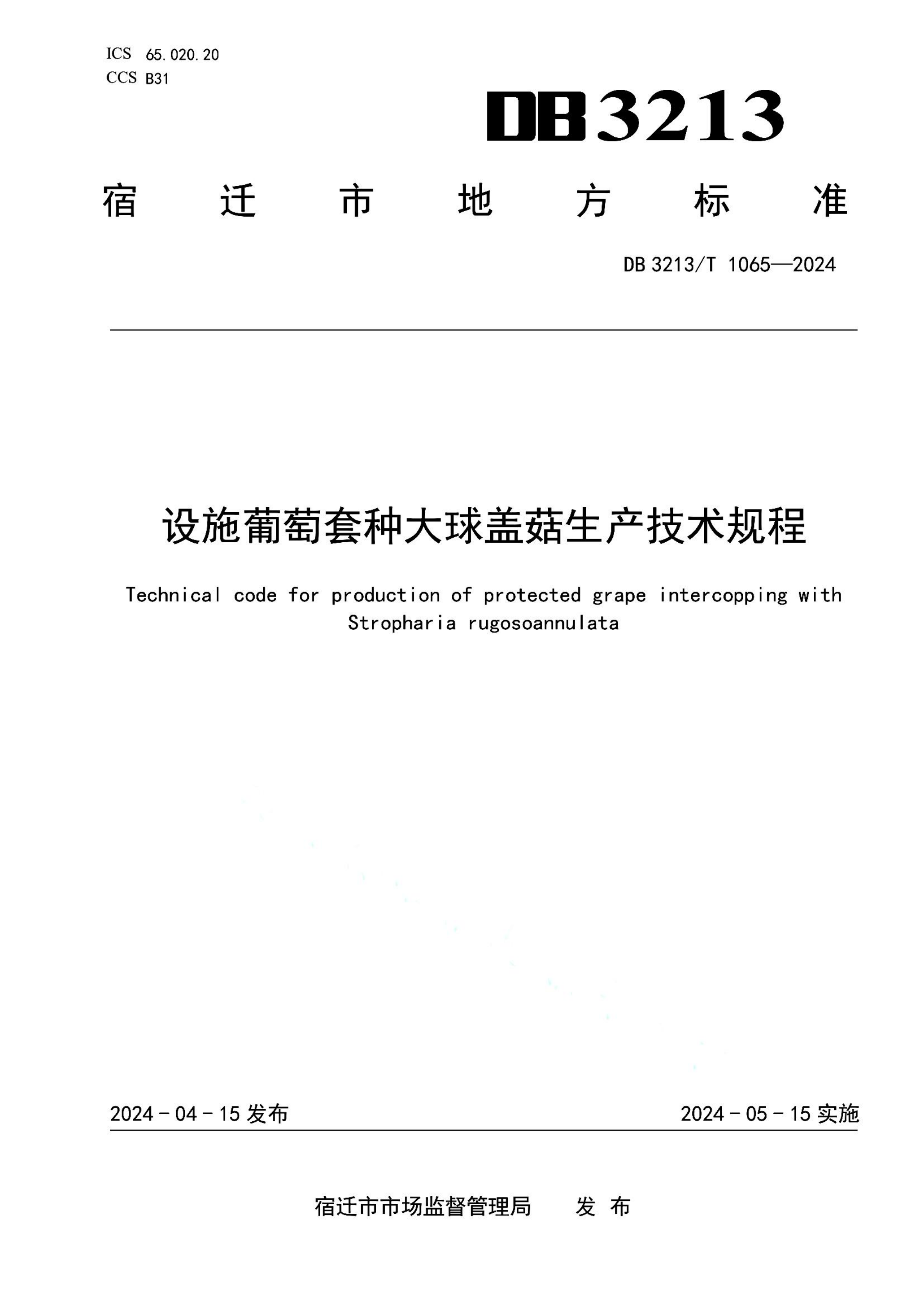 资源详情图